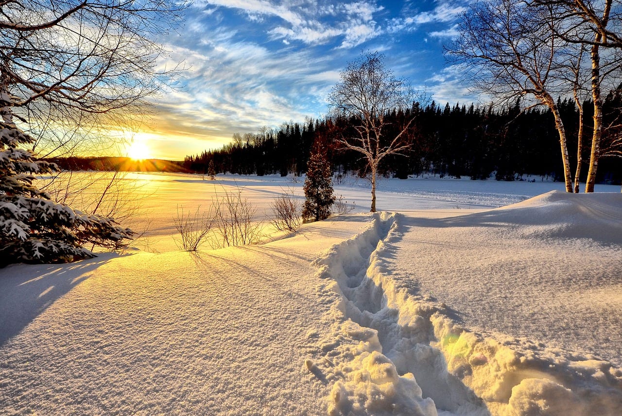 Snow-covered path leading through a serene forest with a vibrant sunset in the background