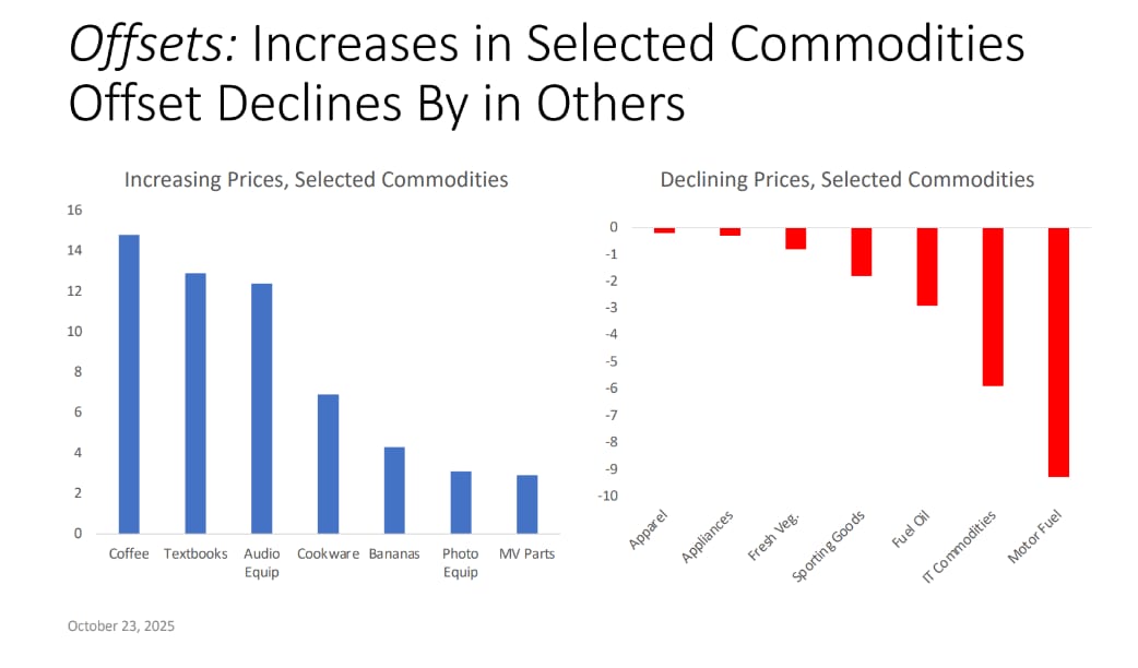 Bar chart displaying projected increases and declines in selected commodity prices for 2025, with blue bars indicating rising prices and red bars indicating declining prices.